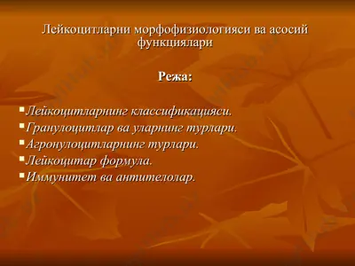 лейкоцитларни морфофизиологияси ва асосий функциялари — PPT