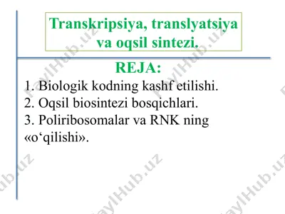 transkripsiya, translyatsiya va oqsil sintezi. — PPTX