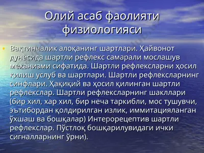 олий асаб фаолияти физиологияси — PPT