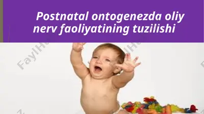 postnatal ontogenezda oliy nerv faoliyatining tuzilishi — PPTX