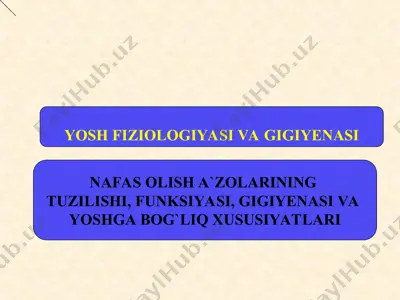 nafas olish a`zolarining tuzilishi, funksiyasi, gigiyenasi va yoshga bog`liq xususiyatlari — ZIP