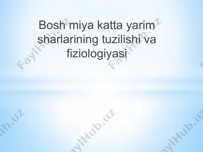 bosh miya katta yarim sharlarining tuzilishi va fiziologiyasi — PPTX
