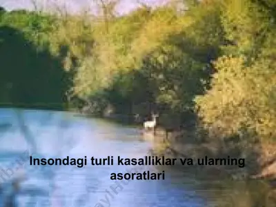 insondagi turli kasalliklar va ularning asoratlari — PPT