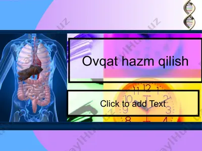 ovqat hazm qilish — PPTX