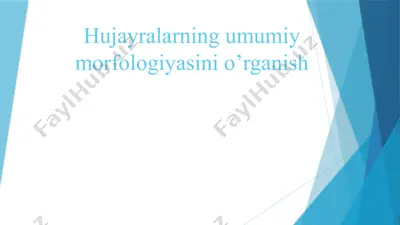 hujayralarning umumiy morfologiyasini o'rganish — PPTX