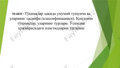 тўқималар ҳақида умумий тушунча ва уларнинг таснифи (классификацияси). қопловчи тўқималар, уларнинг турлари. ўсимлик ҳужайрасидаги пластидларни ўрганиш — PPTX