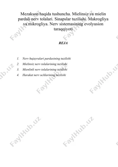 mezakson haqida tushuncha. mielinsiz va mielin pardali nerv tolalari. sinapslar tuzilishi. makrogliya va mikrogliya. nerv sistemasining evolyusion taraqqiyoti — DOC