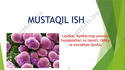 lipidlar. lipidlarning umumiy hususiyatlari va tasnifi. oddiy va murakkab lipidlar — PPTX