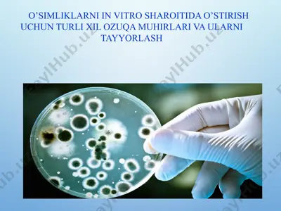 o’simliklarni in vitro sharoitida o’stirish uchun turli xil ozuqa muhirlari va ularni tayyorlash — PPTX