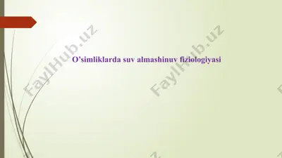 o’simliklarda suv almashinuv fiziologiyasi — PPTX