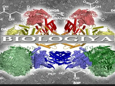 hujayra biologiyasi. sitologiyaning rivojlanish bosqichlari. hujayra taʼlimoti. shvanning hujayra nazariyasi — PPTX