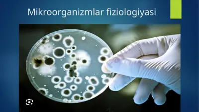 mikroorganizmlar fiziologiyasi — PPTX