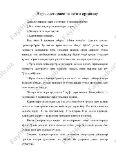 нерв системаси ва сезги органлар — DOC