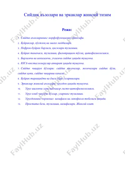 сийдик аъзолари ва эркаклар жинсий тизим — DOC