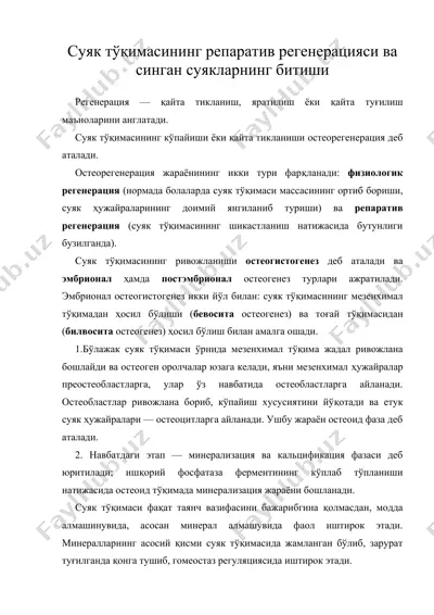 суяк тўқимасининг репаратив регенерацияси ва синган суякларнинг битиши — DOC