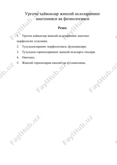 урғочи ҳайвонлар жинсий аъзоларининг анатомияси ва физиологияси — DOC