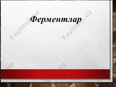 ферментлар 3 — PPT