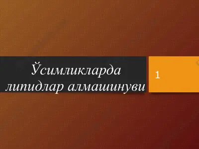 ўсимликларда липидлар алмашинуви — PPT