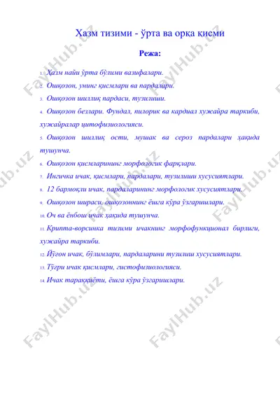 хазм тизими - ўрта ва орқа қисми — DOC
