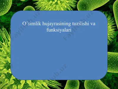o’simlik hujayrasining tuzilishi va funksiyalari — PPT