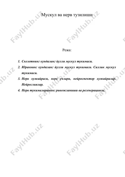 мускул ва нерв тузилиши — DOC