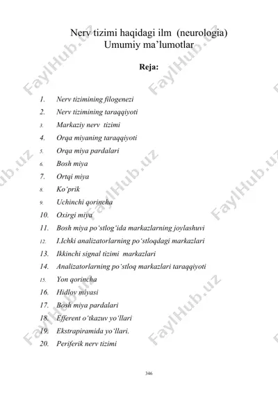 nerv tizimi haqidagi ilm (neurologia) umumiy ma’lumotlar — DOC