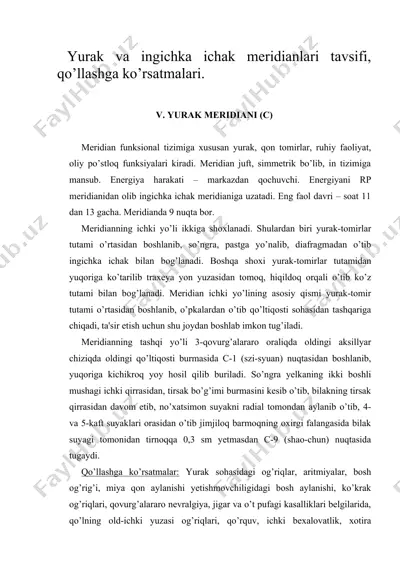yurak va ingichka ichak meridianlari tavsifi, qo’llashga ko’rsatmalari — DOC