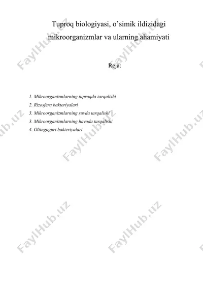 tuproq biologiyasi, o’simik ildizidagi mikroorganizmlar va ularning ahamiyati — DOCX
