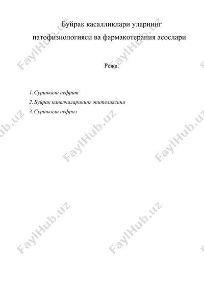 буйрак касалликлари уларнинг патофизиологияси ва фармакотерапия асослари — DOC