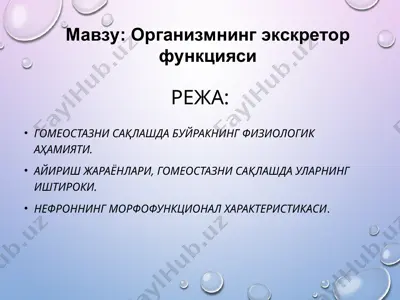 organizmning ekskretor funksiyasi — PPT