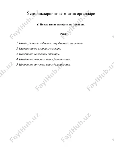 ўсимликларнинг вегетатив органлари 3 — DOCX