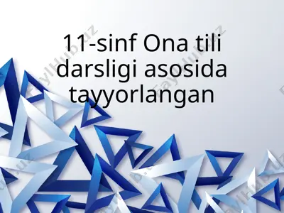 nutqning boyligi 11-sinf — PPTX