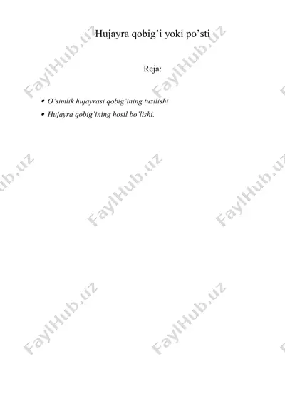 hujayra qobig’i yoki po’sti — DOCX
