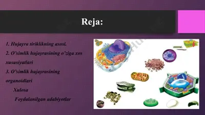 hujayra tiriklikning asosi — PPT