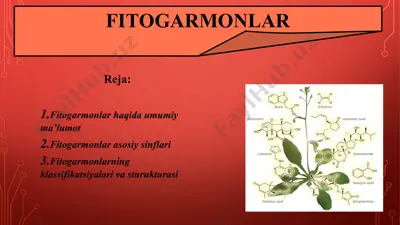 fitogarmonlar — PPT