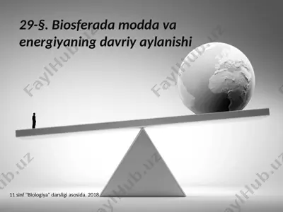 biosferada modda va energiyaning davriy aylanishi. 11 - sinf — PPTX