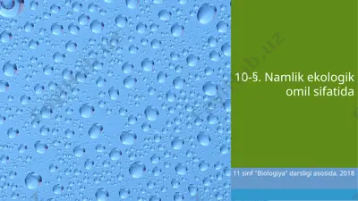 namlik ekologik omil sifatida. 11 - sinf — PPTX