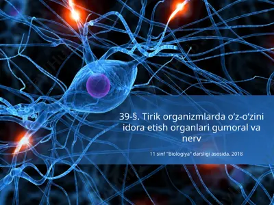 tirik organizmlarda o‘z-o‘zini idora etish organlari gumoral va nerv. 11 - sinf — PPTX