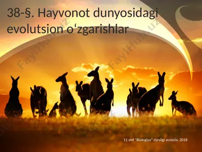 hayvonot dunyosidagi evolutsion o‘zgarishlar. 11 - sinf — PPTX