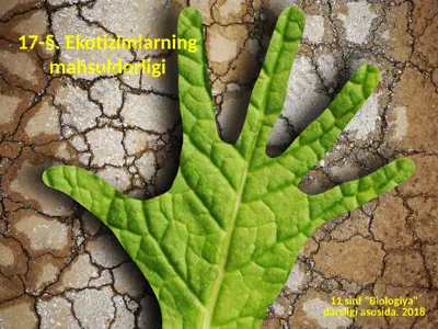 ekotizimlarning mahsuldorligi. 11 - sinf — PPTX