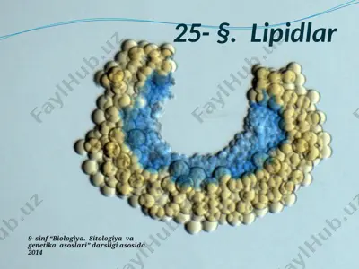 lipidlar. 9 - sinf — PPTX