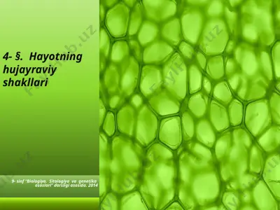 hayotning hujayraviy shakllari. 9 - sinf — PPTX