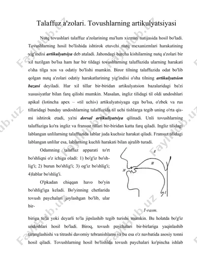 talaffuz a'zolari. tovushlarning artikulyatsiyasi — DOC