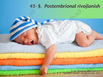 postembrional rivojlanish. 9 - sinf — PPTX