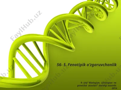 fenotipik o‘zgaruvchanlik. 9 - sinf — PPTX