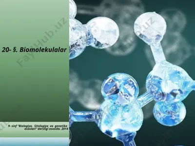 biomolekulalar. 9 - sinf — PPTX