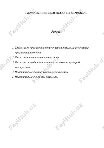таржиманинг прагматик муаммолари — DOC