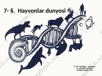 hayvonlar dunyosi. 9 - sinf — PPTX