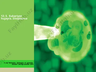 eukariyot hujayra. sitoplazma. 9 - sinf — PPTX