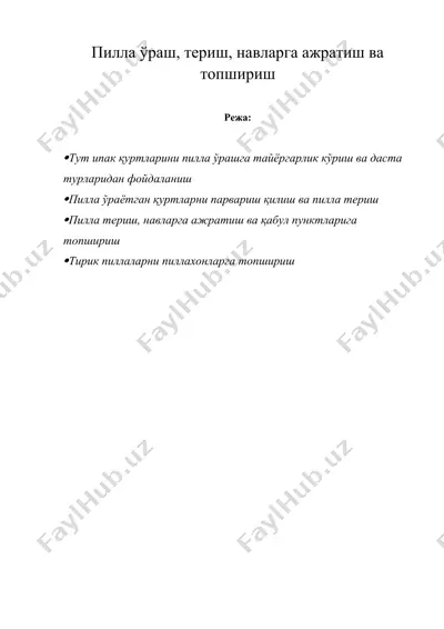 пилла ўраш, териш, навларга ажратиш ва топшириш — DOCX